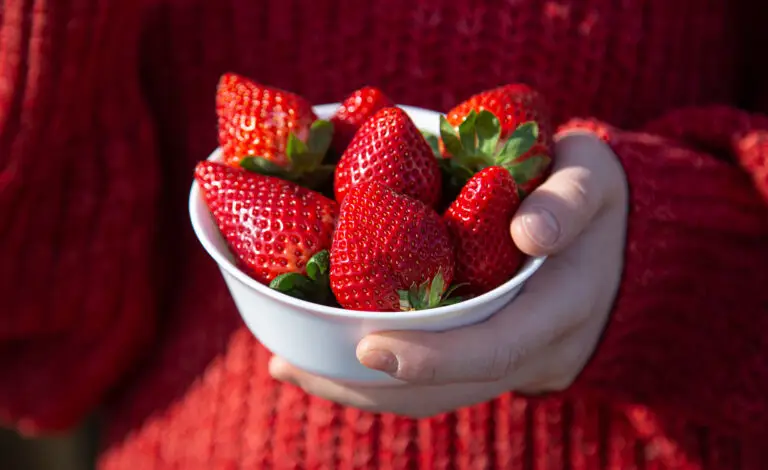antioxidant strawberries-nutrition inspire