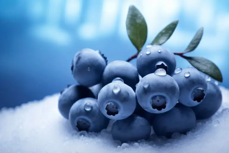 antioxidant blueberries-nutrition Inspire