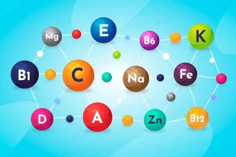 types of food source-vitamins
